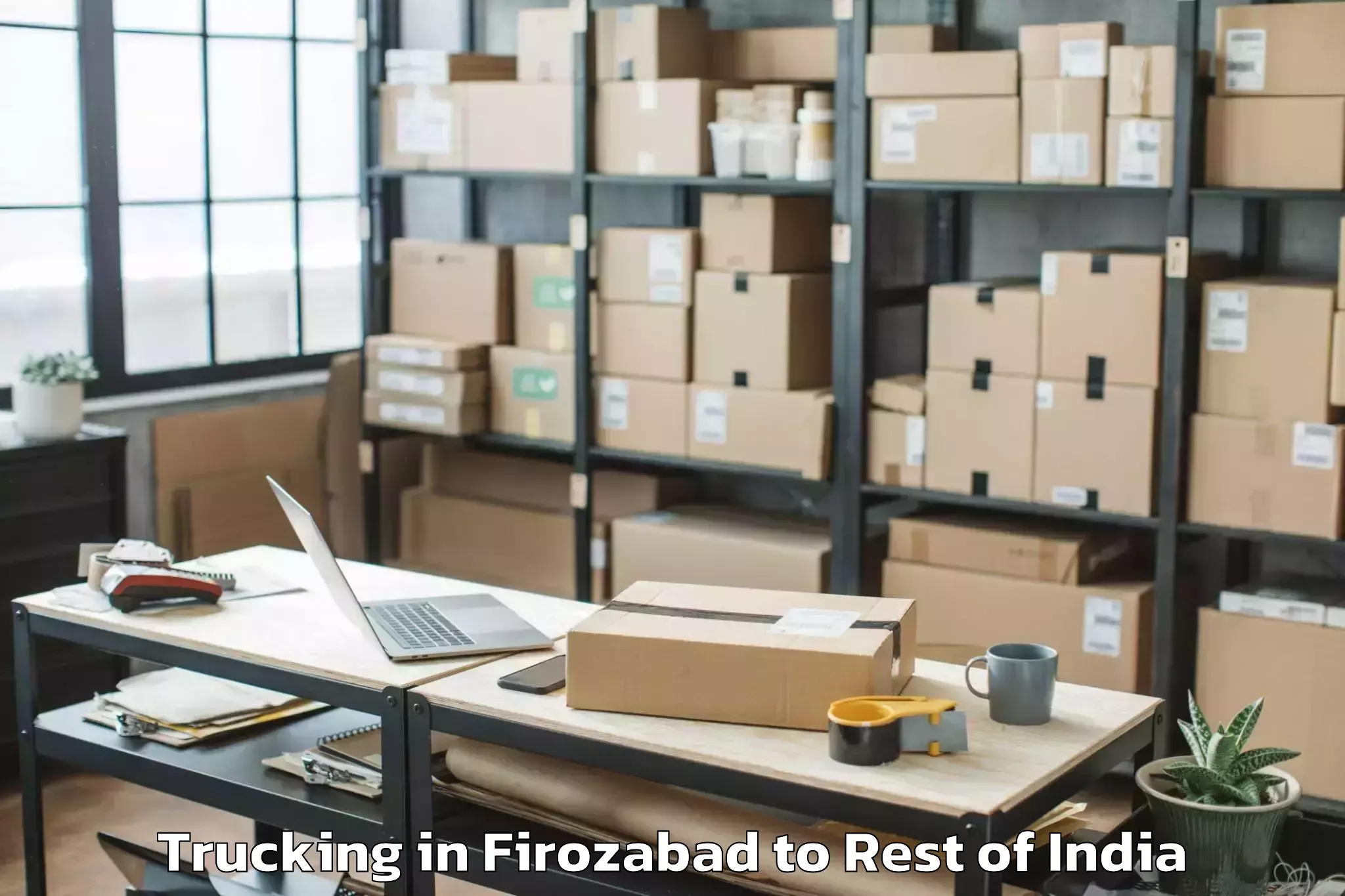 Get Firozabad to Padum Trucking